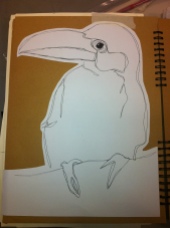 A continuous line drawing of the Toucan bird in fine liner